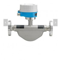 E+H  D8EB 科里奧利質(zhì)量流量計(jì)