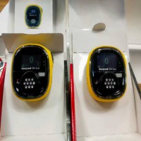 加拿大BW  霍尼韋爾 BWS2-M-Y便攜式一氧化碳?xì)怏w檢測儀